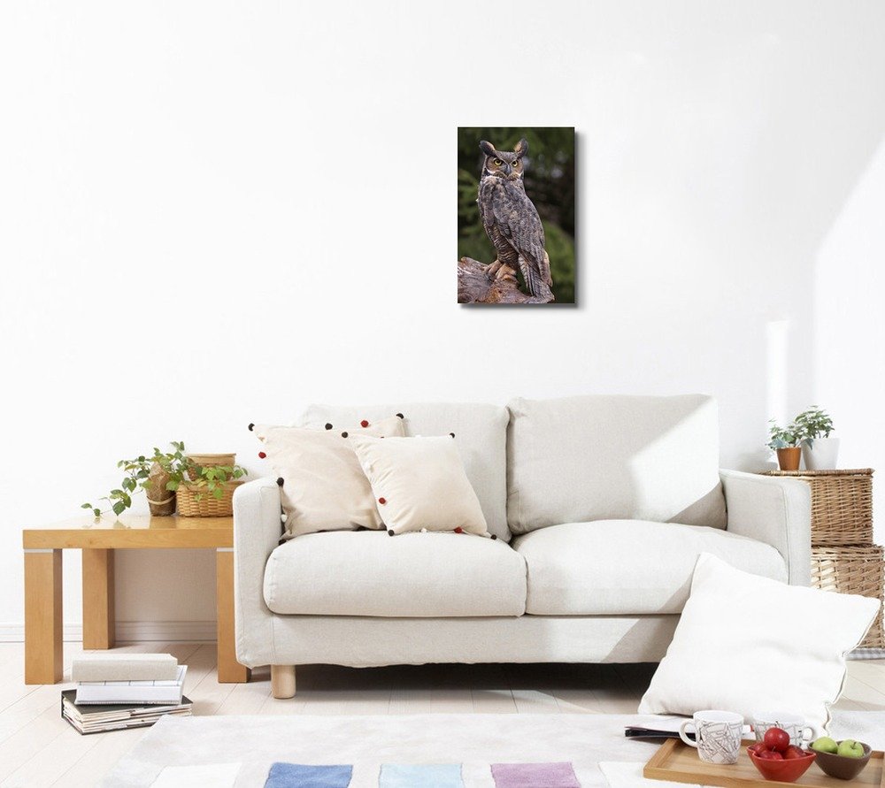 Canvas Prints Wall Art - A Great Horned Owl Sitting On A Tree Stump | Modern Wall Decor/Home Decoration Stretched Gallery Canvas